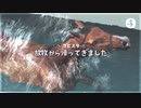 愛馬を育てる ダービースタリオン｜実況プレイ Part4