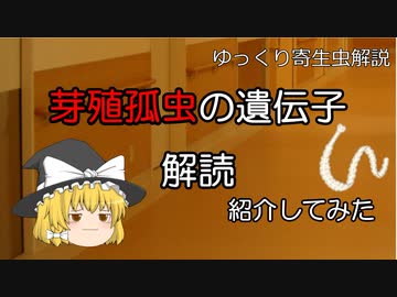 【ゆっくり解説】ゆっくり寄生虫解説#番外編~芽殖孤虫の遺伝子解読~