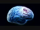 Intelligence Real vs Fake