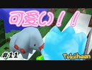 【Minecraft】この子持って帰りたい！！ Part11【Pokehaan実況プレイ】