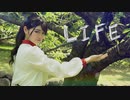 □【まいやん】【20歳】LIFE-踊ってみた