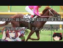 【競馬】ゆっくりさんと未来に語り継ぎたい名馬たち その030【ゆっくり朗読】