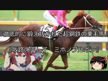 【競馬】ゆっくりさんと未来に語り継ぎたい名馬たち その030【ゆっくり朗読】