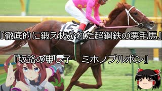 【競馬】ゆっくりさんと未来に語り継ぎたい名馬たち その030【ゆっくり朗読】