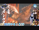 【実況】MHRISEやる！【29】