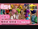 【ポケモン剣盾/DLC1鎧の孤島】ポケモン好きが、初めて種族値・個体値を意識し冒険！【実況】#51