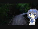 【CeVIO写真】息抜きスナップショット＿38枚目【暗い森】