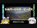 【the hunter:COTW】#4ミシカルピューマしか勝たん！