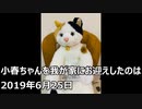 小春ちゃんのお誕生日【2021年6月25日】