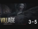 【生放送アーカイブ】ホラー苦手なやつがバイオハザードヴィレッジやります（3-5）