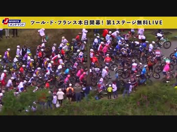ホモと見るツール・ド・フランス　大落車.2021