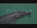 映画『Dominion《ドミニオン》』日本語吹替版　#11　アシカ・イルカ