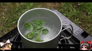 ゆっくりの田舎と自然　４１.５話「ものの芽は、美味しく！」