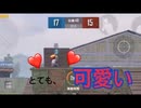 味方に母性本能をくすぐられながらPUBG