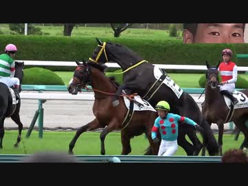 ホモと見る新馬戦でホモセを試みるテーオー