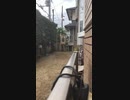 吹き矢マスター