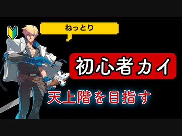 【初心者】初心者カイ使いがねっちょり天上階を目指したい 5勤