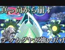 【ポケモン剣盾】其れは相棒ボスゴと理想を追う道対戦実況#12 【テッカグヤ】(追う道Series.Restart)