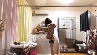 【もちお】オレンジ 【踊ってみた】