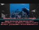 【ゆっくりマイナーscp紹介】SCP-3898 - 重荷