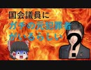 【ゆっくり解説】国会議員の中にはガチの元犯罪者がいるらしい