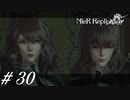 デボルとポポル【NieR RepliCant ver.1.22実況#30】