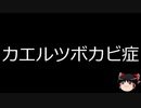 【ゆっくり朗読】ゆっくりさんと不思議な病気 その374