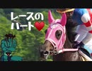 競馬初心者と見る地方競馬(スイヨウビマン)