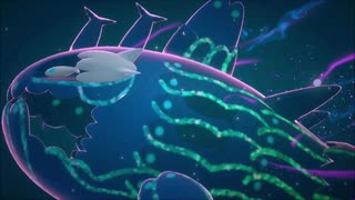 最高の1枚を楽しみにポケモンスナップ実況プレイpart9