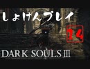 シリーズ経験者の『ダークソウルⅢ』初見プレイ#14