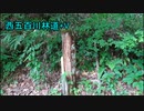 【車載動画】西五百川林道+V