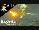 【実況】マスターモードでやりこみサバイバル生活！！　Part133【ゼルダの伝説　BotW】
