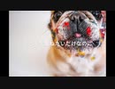 【オリジナル】 イレギュラー【vocaloid5 KEN feat.淳平】