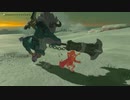 続編出るまでにBotWクリアしときたいマン　クリア後part2