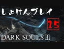 シリーズ経験者の『ダークソウルⅢ』初見プレイ#15