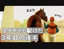 ＣＪ実況：ナイスネイチャと駆けた４年少々の日々：６／８