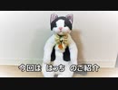 はっちの紹介