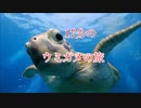 ウミガメの旅17分！ダイビング沖縄