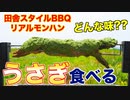 【BBQ】田舎で食べる最高のうさぎ料理 ASMR _ Roasted Green rabbit