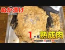 ぬか漬け使って1ヶ月熟成肉作ってみた Insane Nukazuke Dry Age Experiment!!