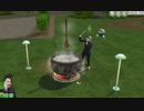 【実況】カメラの前で魔法使ってみた【The Sims4】part14