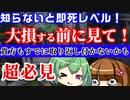 【PSO2NGS】知らないと取り返しがつかないこと三選【初心者・新規】
