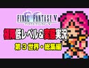 ゆっくりの変態実況：FF5極限低レベル・第3世界総集編