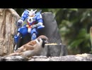 スズメとガンダム
