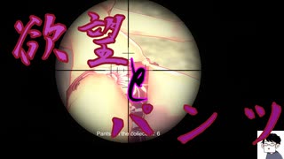 【R-18】南国の島で猫耳女子がパンツ集めるって本当ですか？【HENTAISLAND Lost Pantsu】