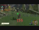 【実況プレイ】いまさらゼルダの伝説 Breath of the Wild: 115