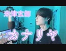 米津玄師-カナリヤ【Cover by Junbou】