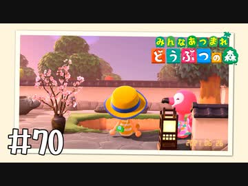 【実況】みんなあつまれ どうぶつの森 #70