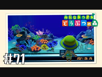 【実況】みんなあつまれ どうぶつの森 #71