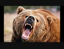 三毛別羆事件～史上最大の獣害事件：人喰い巨大ヒグマの恐怖！【ゆっくり朗読】